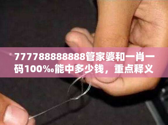 管家婆