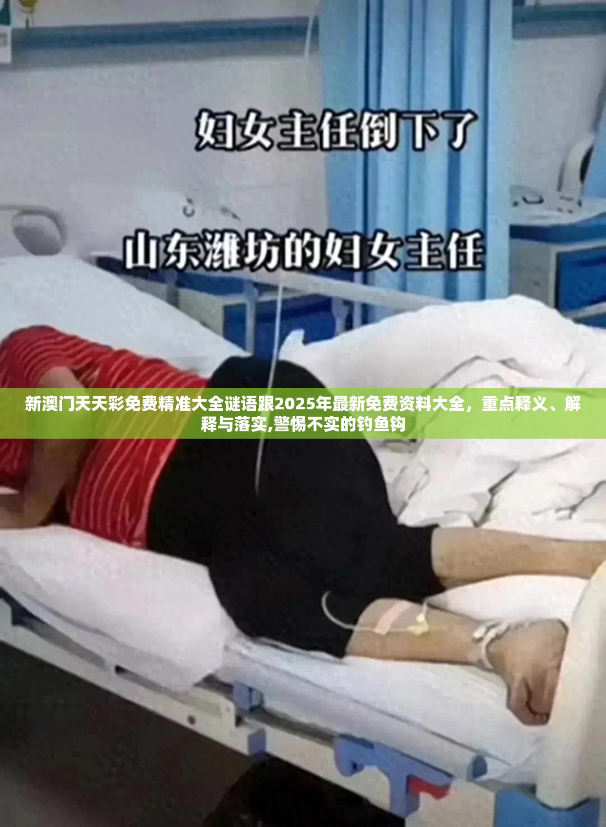新澳门天天彩免费精准大全谜语跟2025年最新免费资料大全，重点释义、解释与落实,警惕不实的钓鱼钩